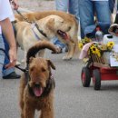 Fischerfest 2007 - 128